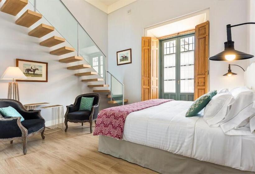 اتاق عادی, Palacio Bucarelli