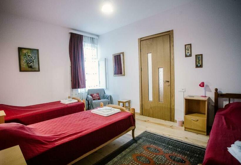 اتاق استاندارد سه تخته با سرویس بهداشتی مشترک, Chateau Dzveli Gavazi