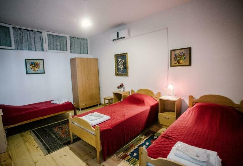 اتاق استاندارد سه تخته با سرویس بهداشتی مشترک, Chateau Dzveli Gavazi