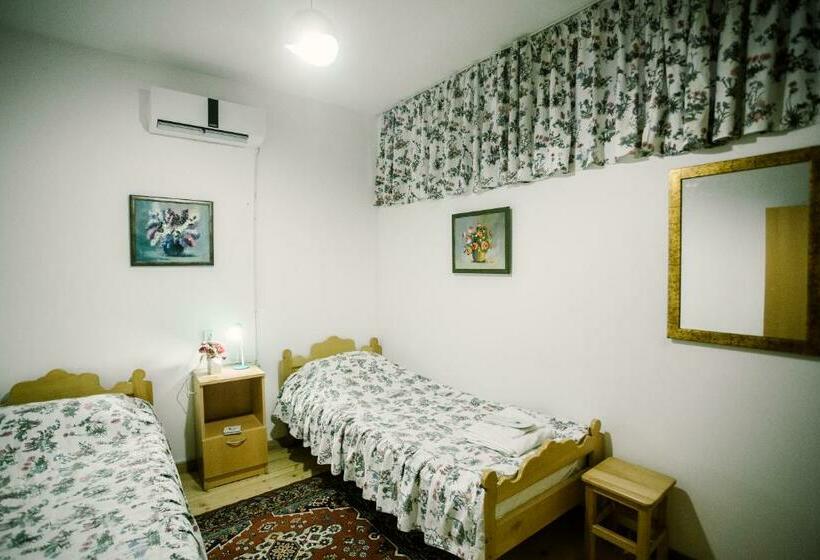 اتاق استاندارد با سرویس بهداشتی مشترک, Chateau Dzveli Gavazi