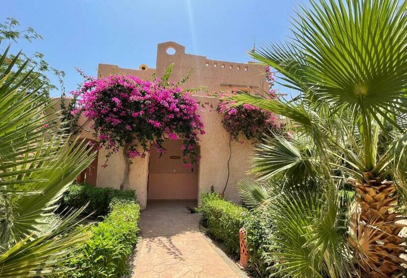 חדר סטנדרט נוף לגינה, Soulotel Inn Blue Resort & Spa