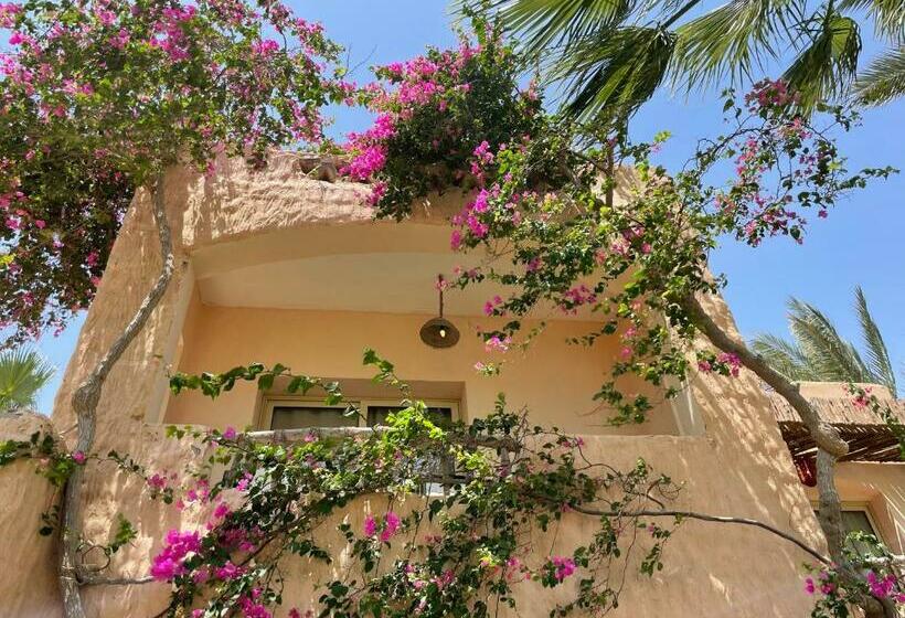 اتاق استاندارد با چشم‌انداز باغ, Soulotel Inn Blue Resort & Spa