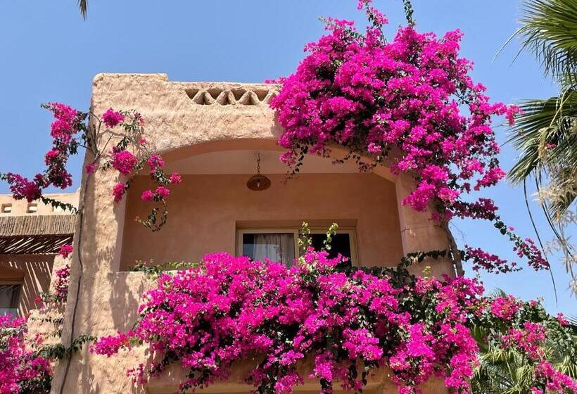 اتاق استاندارد با چشم‌انداز باغ, Soulotel Inn Blue Resort & Spa