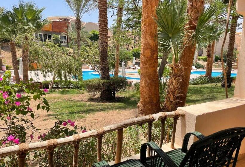 חדר סטנדרט נוף לבריכה, Soulotel Inn Blue Resort & Spa