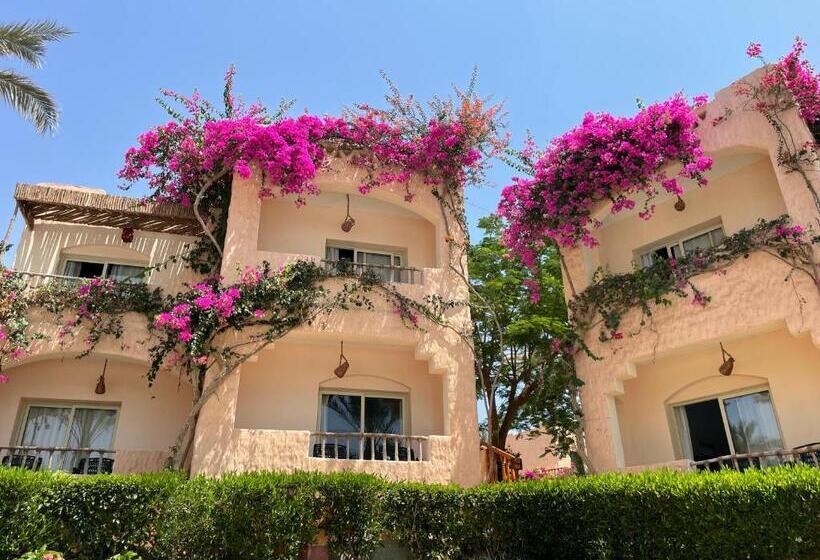 חדר סטנדרט נוף לבריכה, Soulotel Inn Blue Resort & Spa