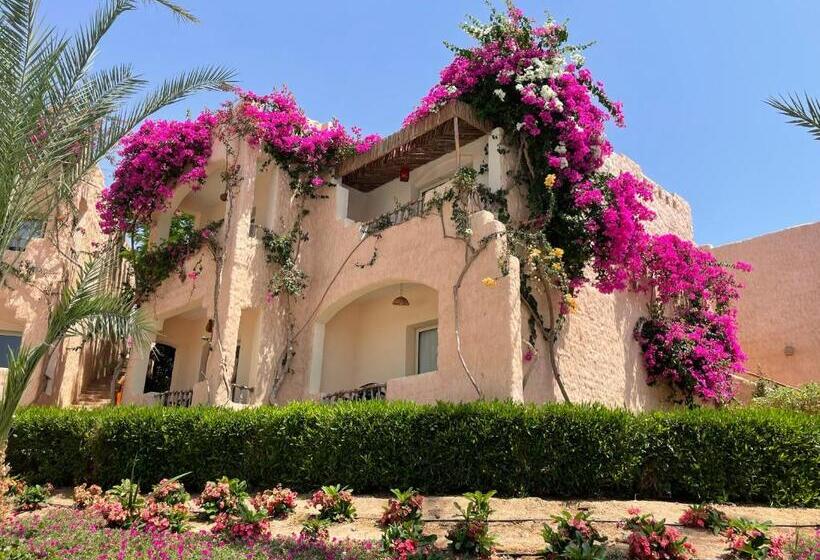 חדר סטנדרט נוף לים, Soulotel Inn Blue Resort & Spa