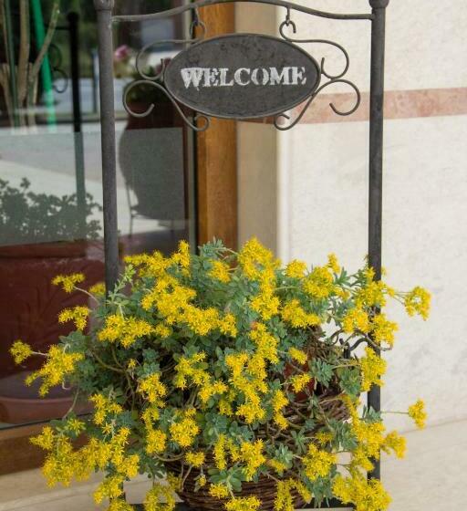 חדר סטנדרט, Asteras