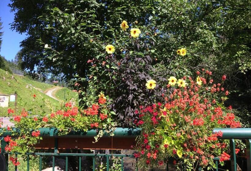 חדר משפחתי, Au Bois De Lune