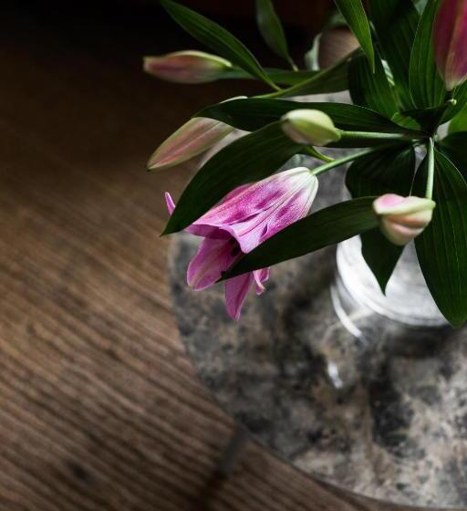 آپارتمان 1 خوابه با تراس, Bridget Inn