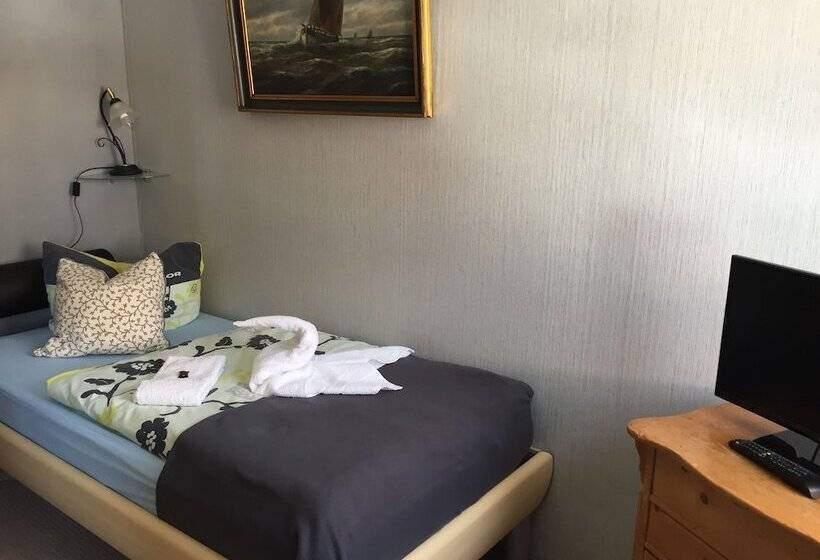 غرفة قياسية فردية, Pension Teutonia