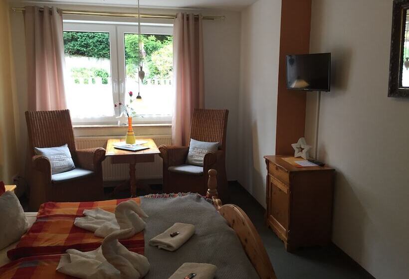 غرفة قياسية, Pension Teutonia