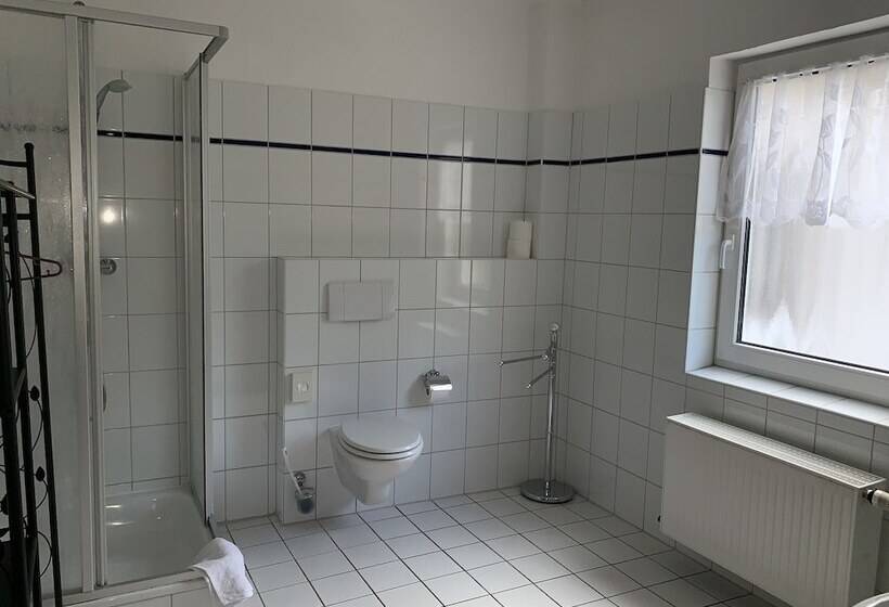 شقة غرفة واحدة مزودة بتراس, Pension Teutonia