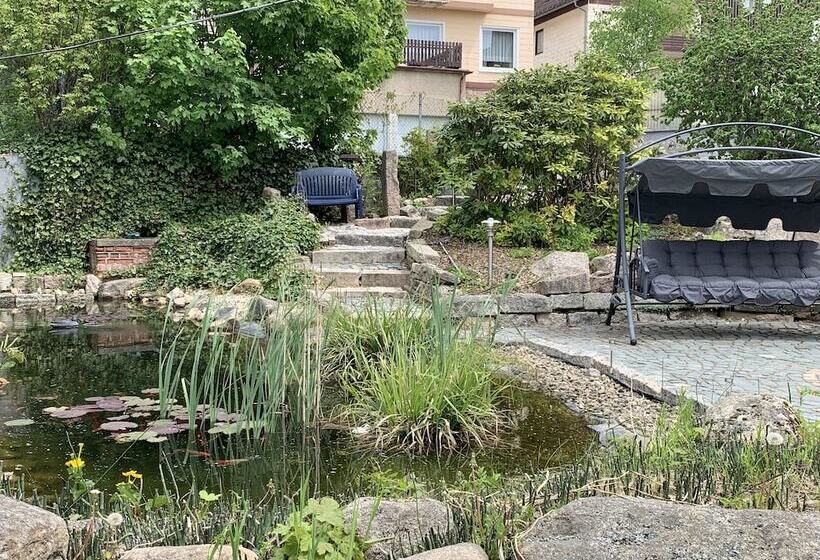 شقة غرفة واحدة مزودة بتراس, Pension Teutonia