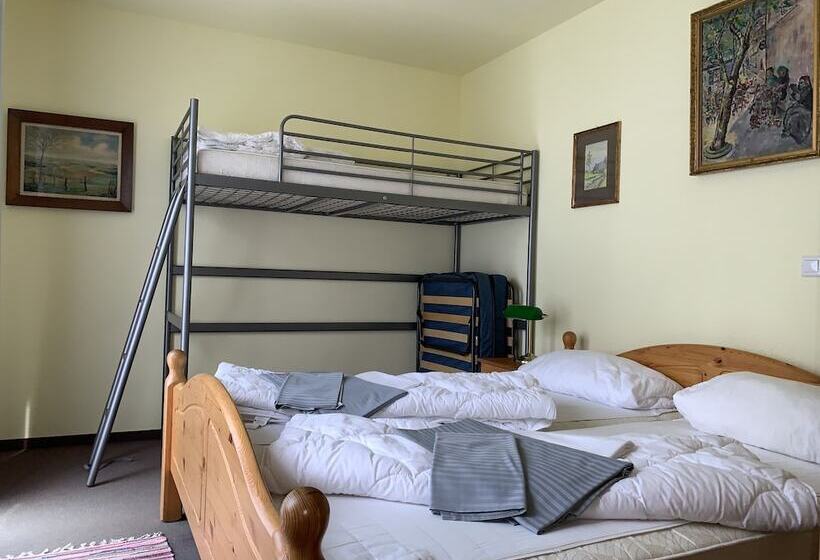 شقة غرفة واحدة مزودة بتراس, Pension Teutonia