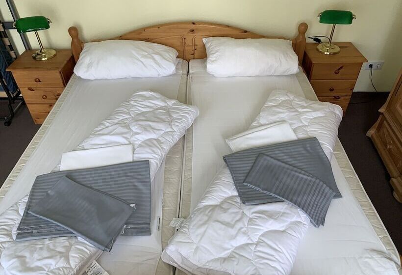 شقة غرفة واحدة مزودة بتراس, Pension Teutonia