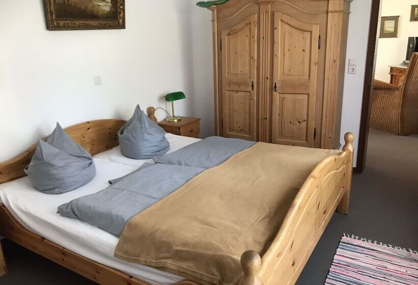 شقة غرفة واحدة مزودة بتراس, Pension Teutonia