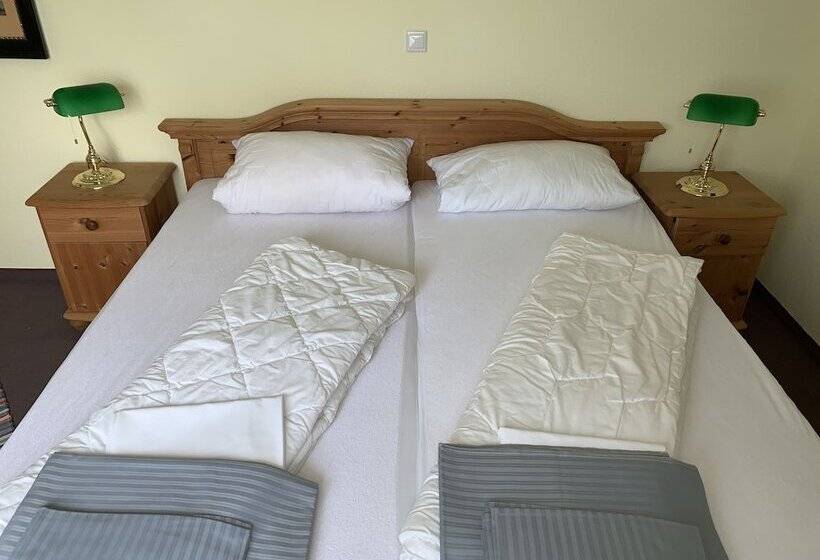 شقة غرفتين, Pension Teutonia