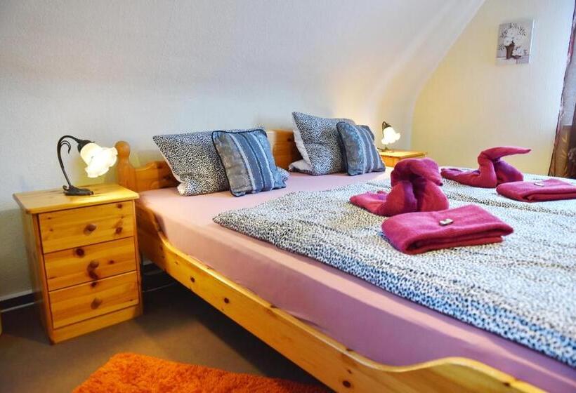 غرفة قياسية, Pension Teutonia