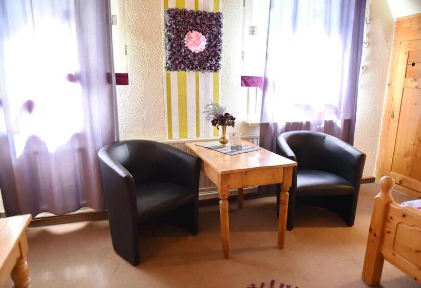 غرفة قياسية, Pension Teutonia