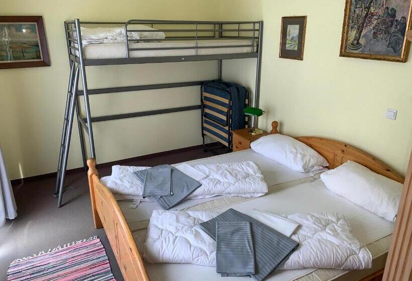 شقة غرفة واحدة مزودة بتراس, Pension Teutonia