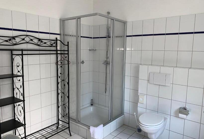 شقة غرفة واحدة مزودة بتراس, Pension Teutonia