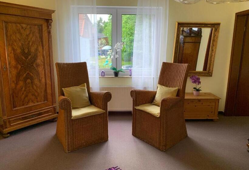 شقة غرفتين, Pension Teutonia