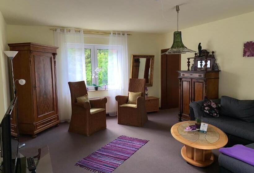 شقة غرفتين, Pension Teutonia