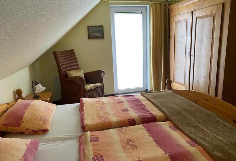 شقة غرفة واحدة, Pension Teutonia