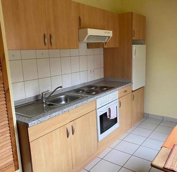 شقة غرفة واحدة, Pension Teutonia