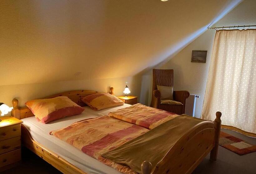 شقة غرفة واحدة, Pension Teutonia