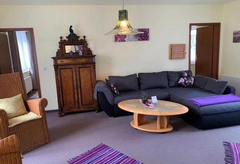 شقة غرفتين, Pension Teutonia