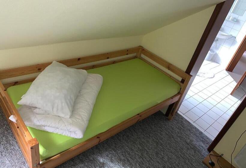 شقة غرفتين, Pension Teutonia