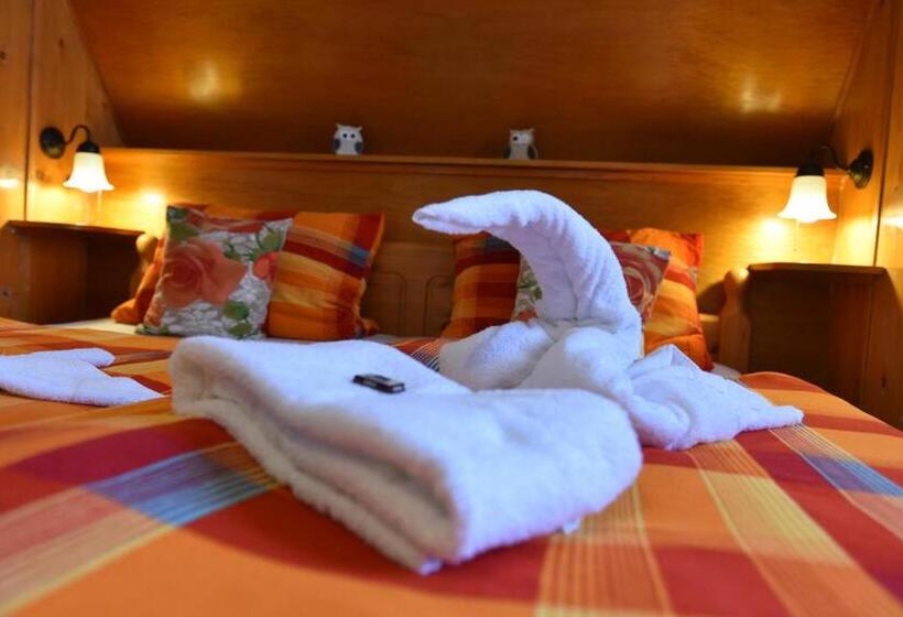 غرفة قياسية, Pension Teutonia