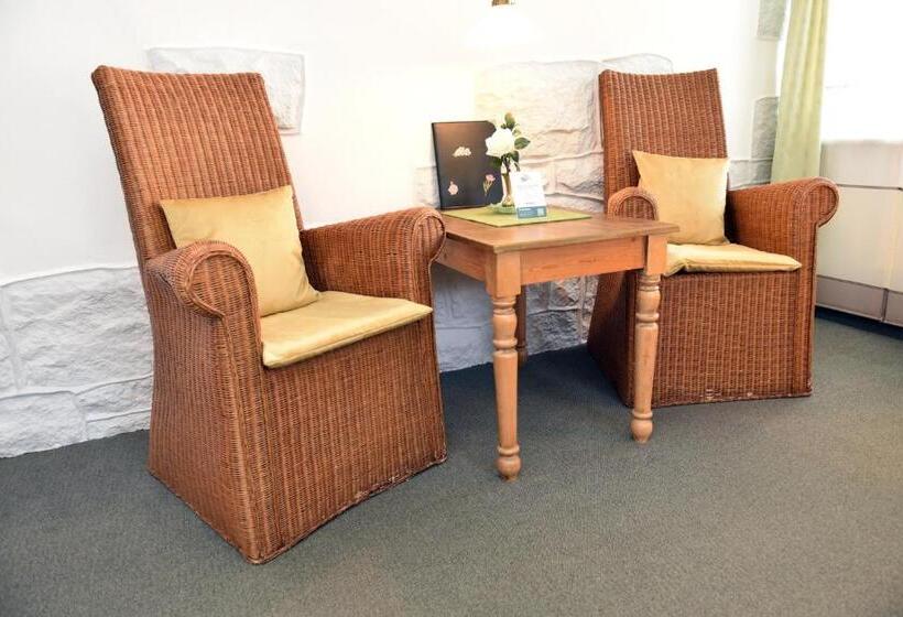 غرفة قياسية, Pension Teutonia