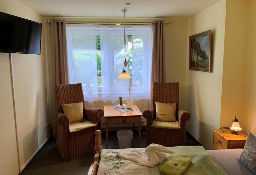 غرفة قياسية, Pension Teutonia