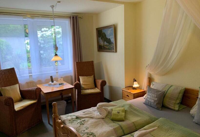 غرفة قياسية, Pension Teutonia