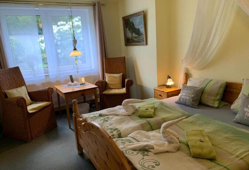 غرفة قياسية, Pension Teutonia