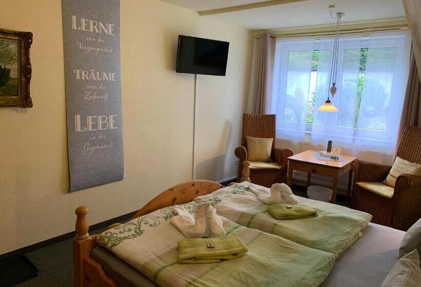 غرفة قياسية, Pension Teutonia