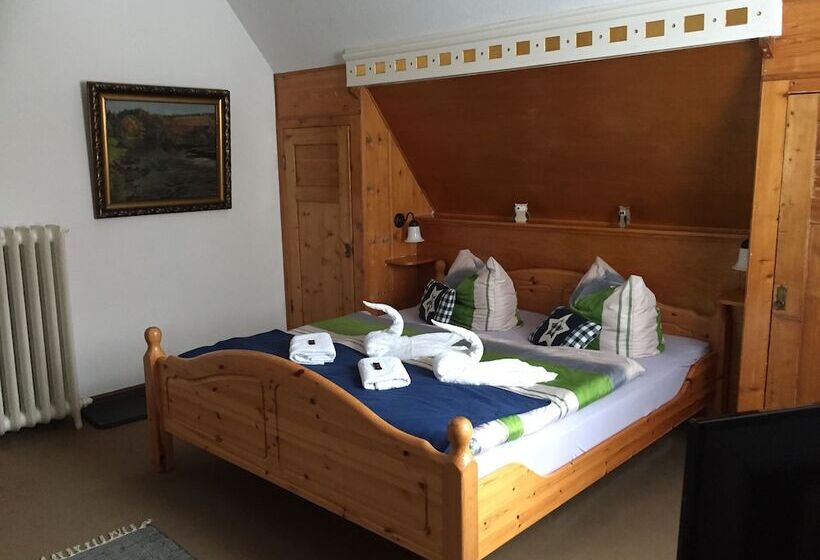 غرفة قياسية, Pension Teutonia