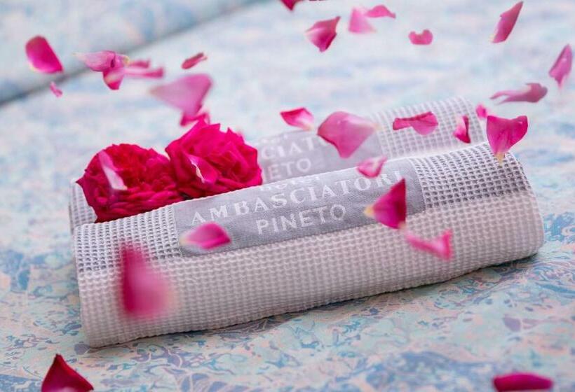 חדר סטנדרט יחיד, Ambasciatori