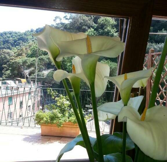 스탠다드 테라스 룸 바다 전망, Argentina