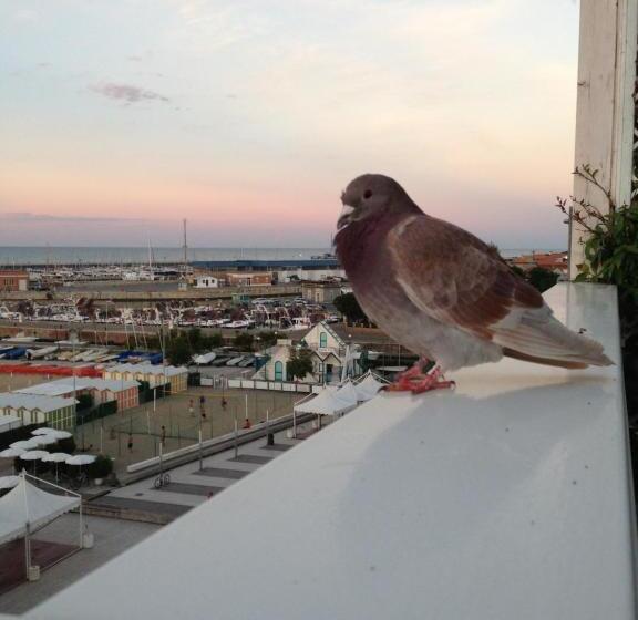 חדר סופריור יחיד נוף לים, Astoria