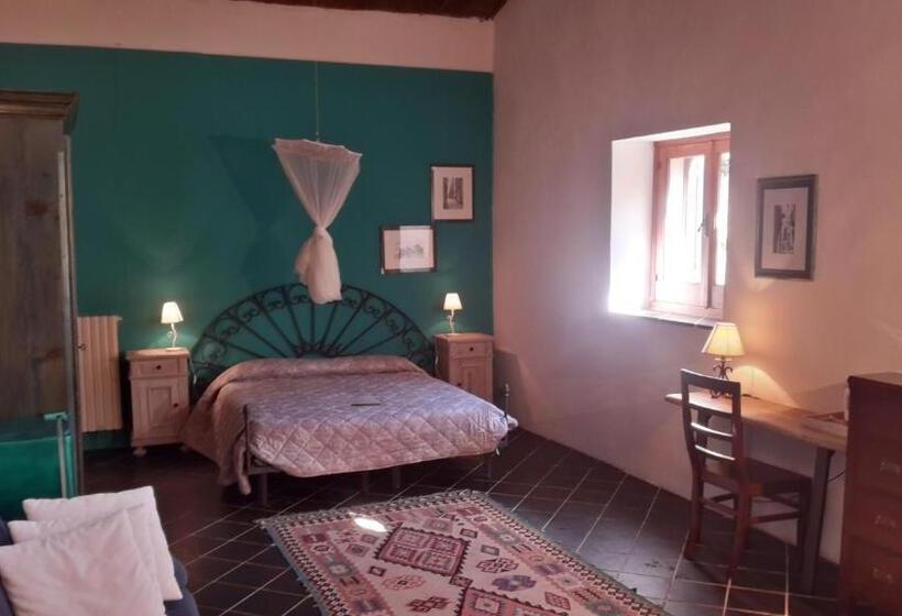 Номер Стандарт, Case Brizza