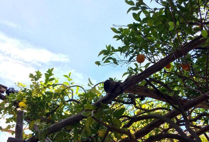 דירת חדר עם טרסה, Donna Giulia