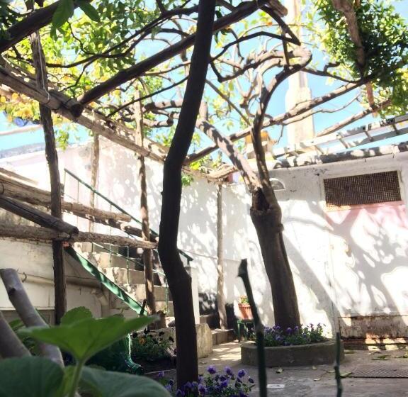 דירת חדר עם טרסה, Donna Giulia