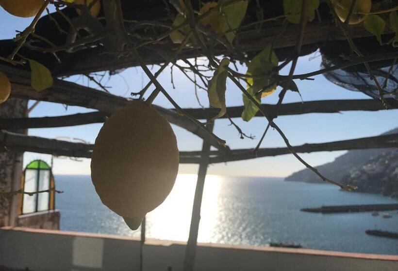 דירת חדר עם טרסה, Donna Giulia