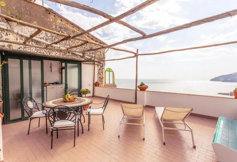 דירת חדר עם טרסה, Donna Giulia