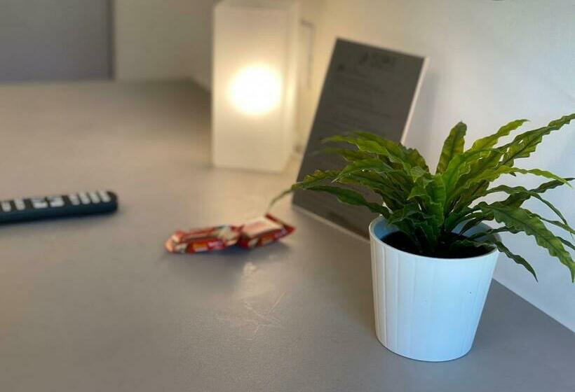 اتاق استاندارد, Fly Bike