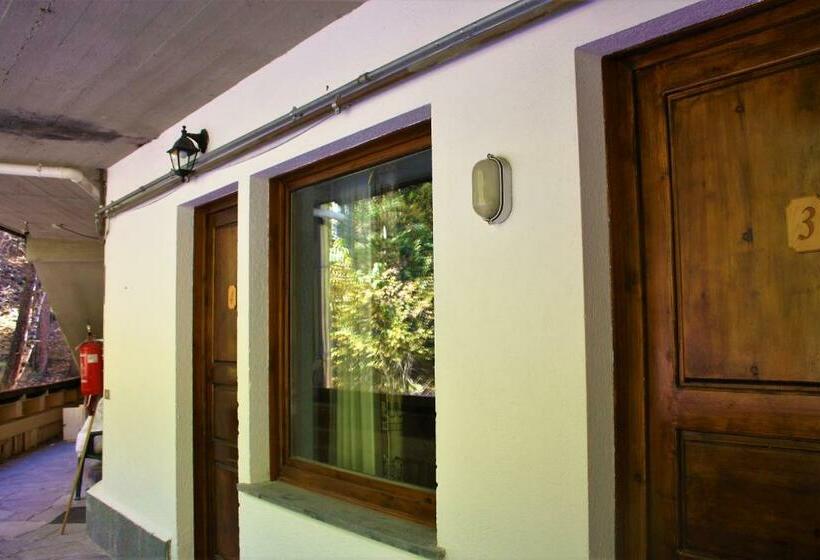 Номер Стандарт, Olympic Mountains