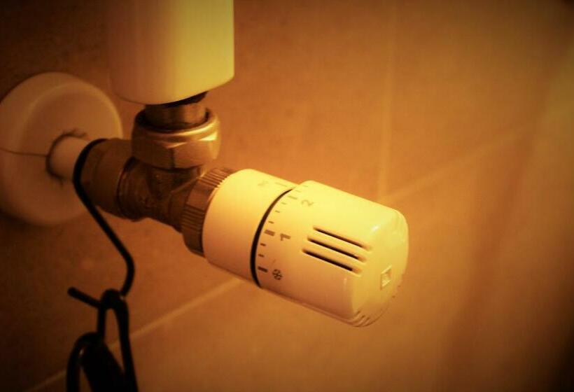 Номер Стандарт, Olympic Mountains